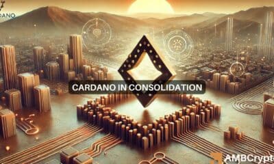 cardano