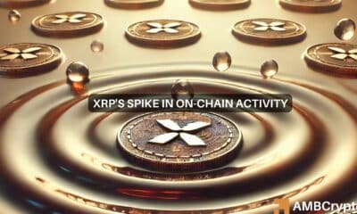 XRP Ripple