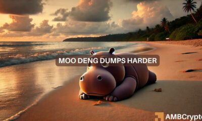 Moo Deng coin crashes 60% in a week - What triggered the sell-off?