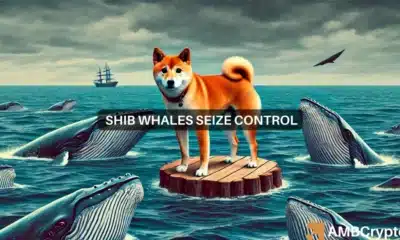 Shiba Inu whales show caution: Could this be SHIB's market bottom?