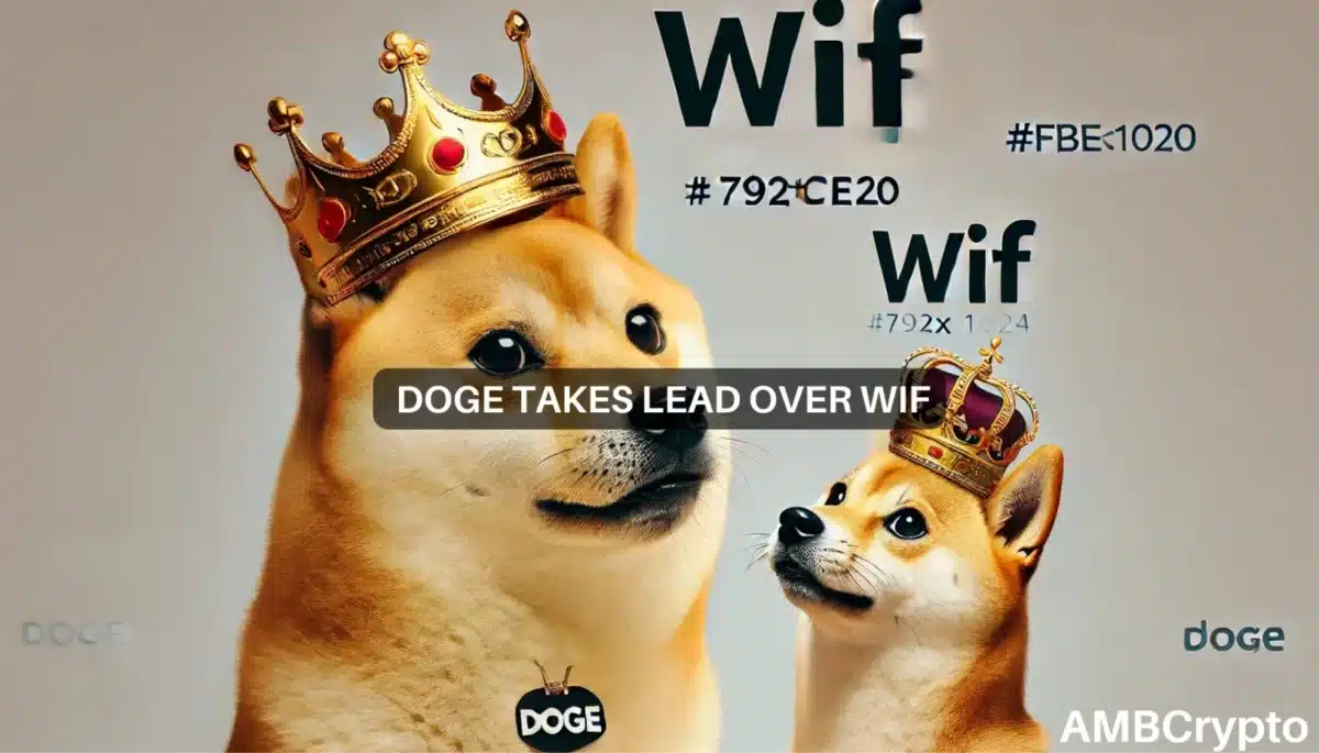 Dogecoin vs. WIF - How the memecoin climbed by 16% to stake its claim