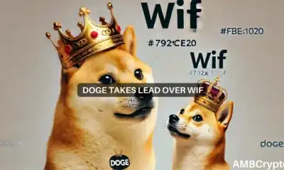 Dogecoin vs. WIF - How the memecoin climbed by 16% to stake its claim