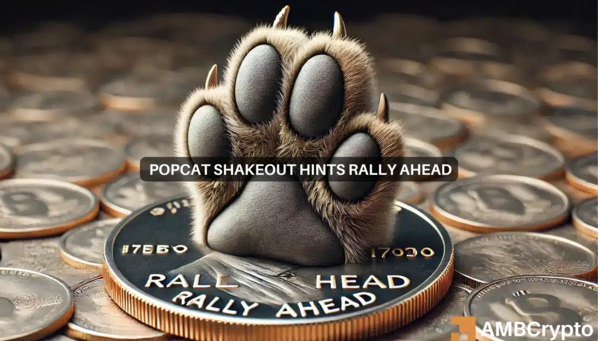 POPCAT falls by 10% as liquidity suffers - New ATH still within reach?