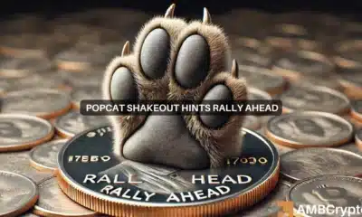 POPCAT falls by 10% as liquidity suffers - New ATH still within reach?