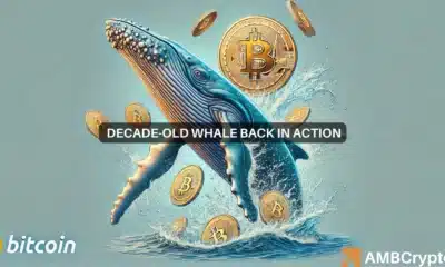 Bitcoin whales