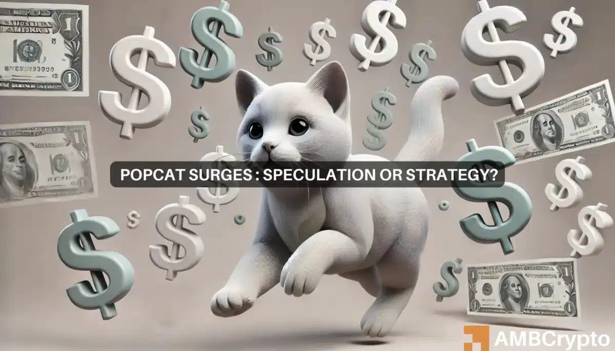 POPCAT bounces back as traders shy away from overheated DOGE: What now?