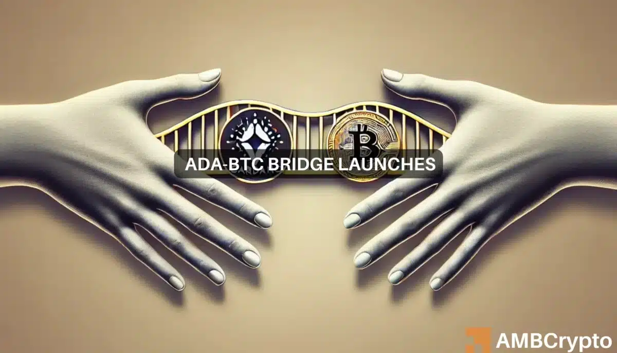 Cardano's new Bitcoin bridge - Enough to push ADA above $0.33?