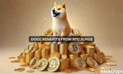 DOGE