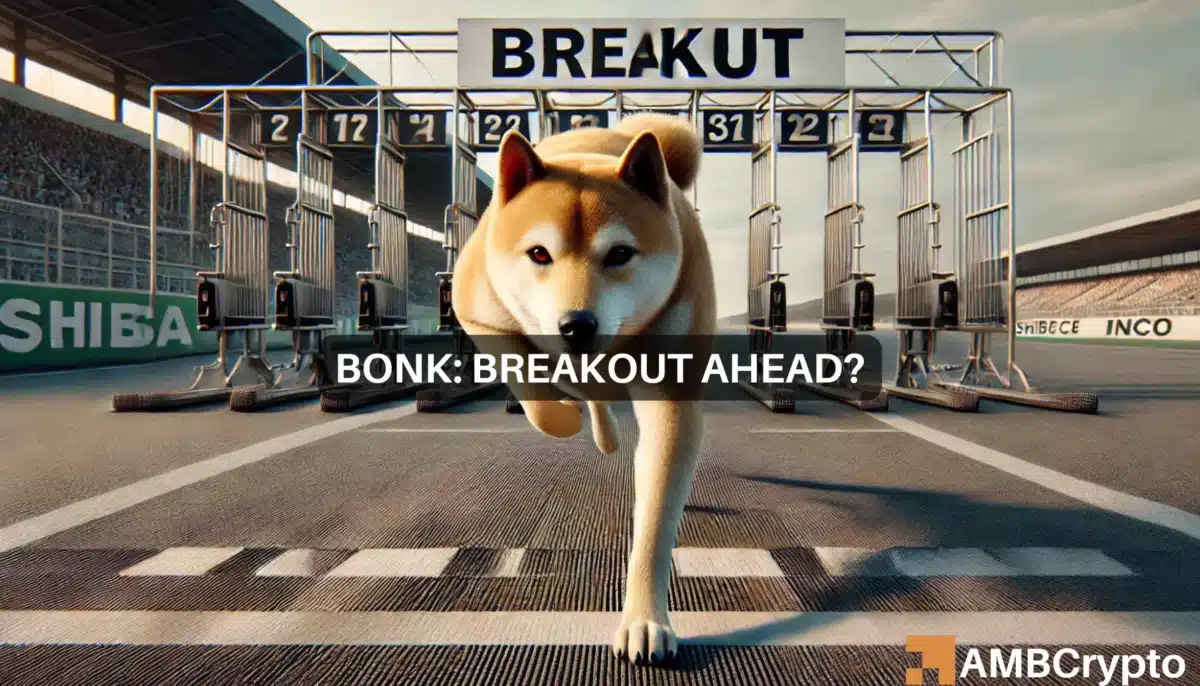 BONK's massive breakout? Analyst predicts bullish wave ahead