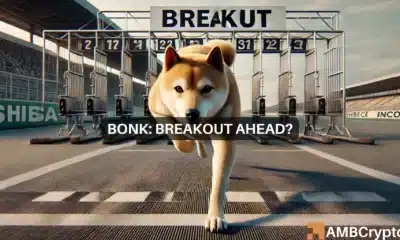 BONK's massive breakout? Analyst predicts bullish wave ahead