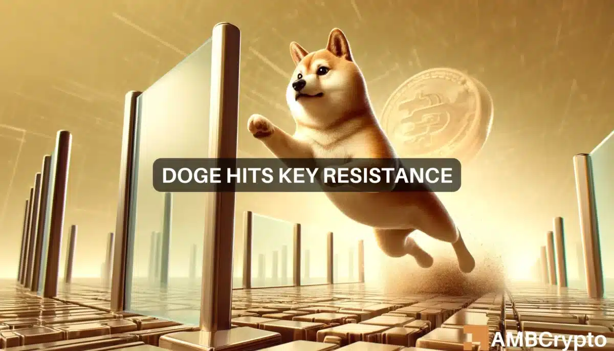 DOGE