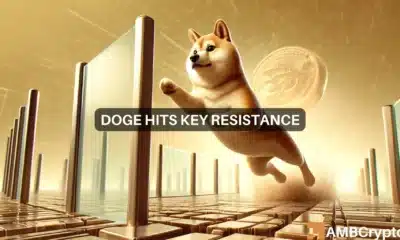 DOGE