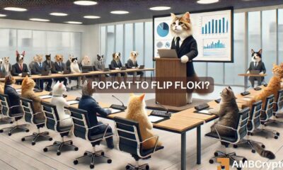 'Popcat gonna take Floki out' - Battle of the memecoins