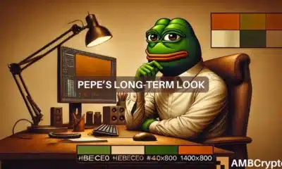 Pepe shows price decline, but loyal investors keep holding