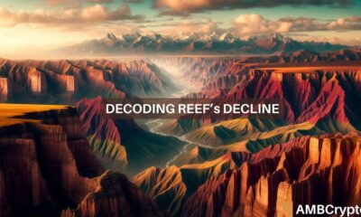 Examining REEF crypto's 80% decline in 24 hours - How, why, and what next?