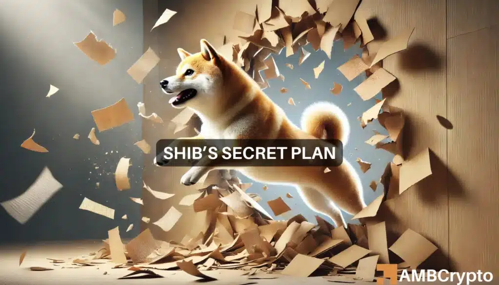 Shiba Inu - All you need to know about SHIB's latest breakout odds