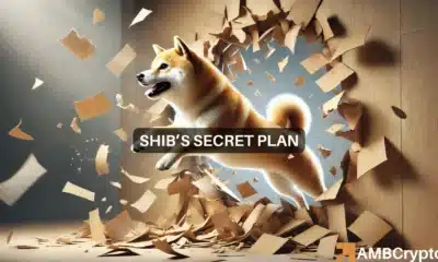 Shiba Inu - All you need to know about SHIB's latest breakout odds