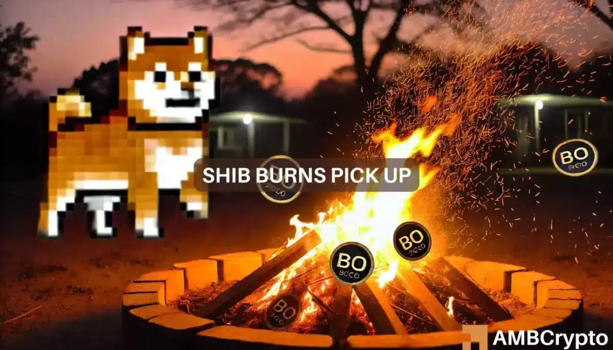 SHIB Burns hit 300 million+ but fails to lift Shiba Inu's price