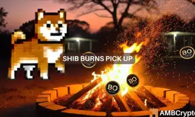 SHIB Burns hit 300 million+ but fails to lift Shiba Inu's price