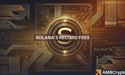 Solana hits record highs in 2 key areas - How memecoins helped SOL's rise