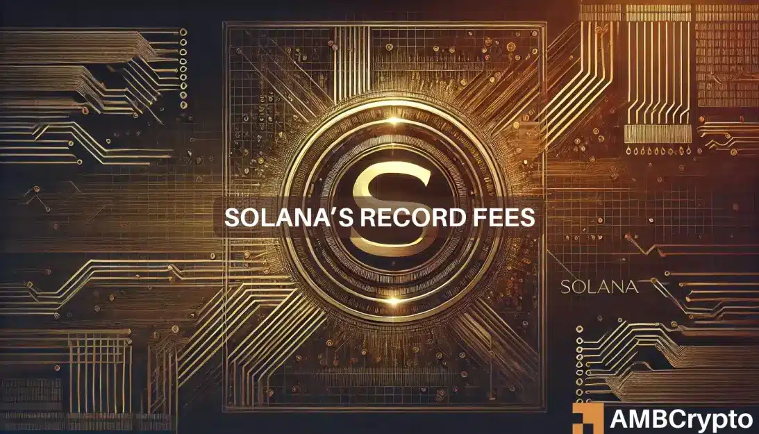 Solana hits record highs in 2 key areas - How memecoins helped SOL's rise