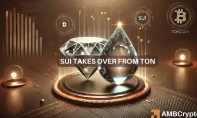 Toncoin and Sui compete for top spot in year-to-date gains