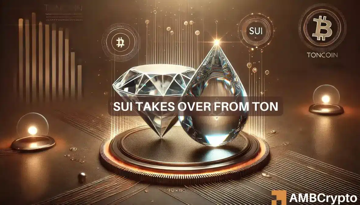 Toncoin and Sui compete for top spot in year-to-date gains