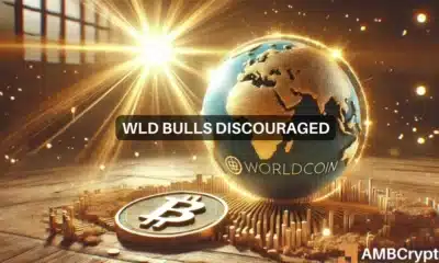 Worldcoin Faces Distribution Phase, Bulls Defend Key Fibonacci Levels