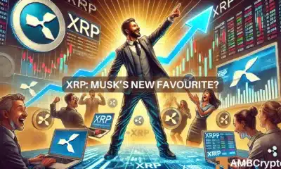 XRP Ledger activity surges amidst Musk's 'individual freedom' comments