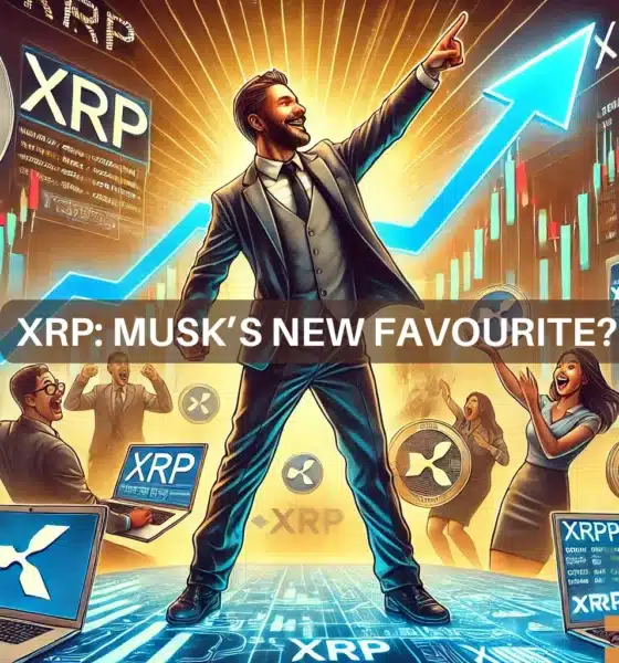 XRP Ledger activity surges amidst Musk's 'individual freedom' comments