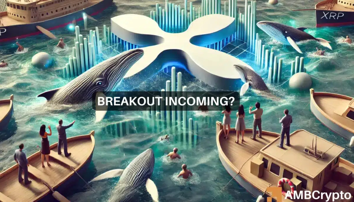 XRP's breakout odds - Altcoin's next price targets will depend on...