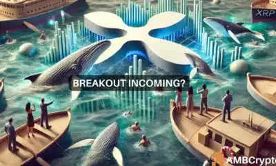 XRP's breakout odds - Altcoin's next price targets will depend on...