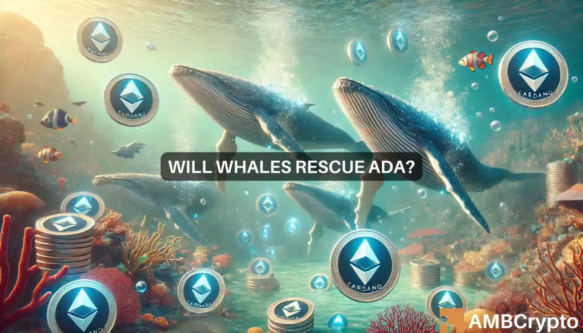 Cardano whale activity intensifies: Is ADA's bullish breakout here?