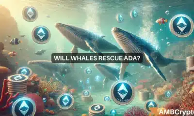 Cardano whale activity intensifies: Is ADA's bullish breakout here?