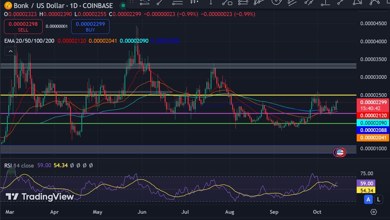 Отображение пути BONK к $0,00003 после роста на 33% за 30 дней