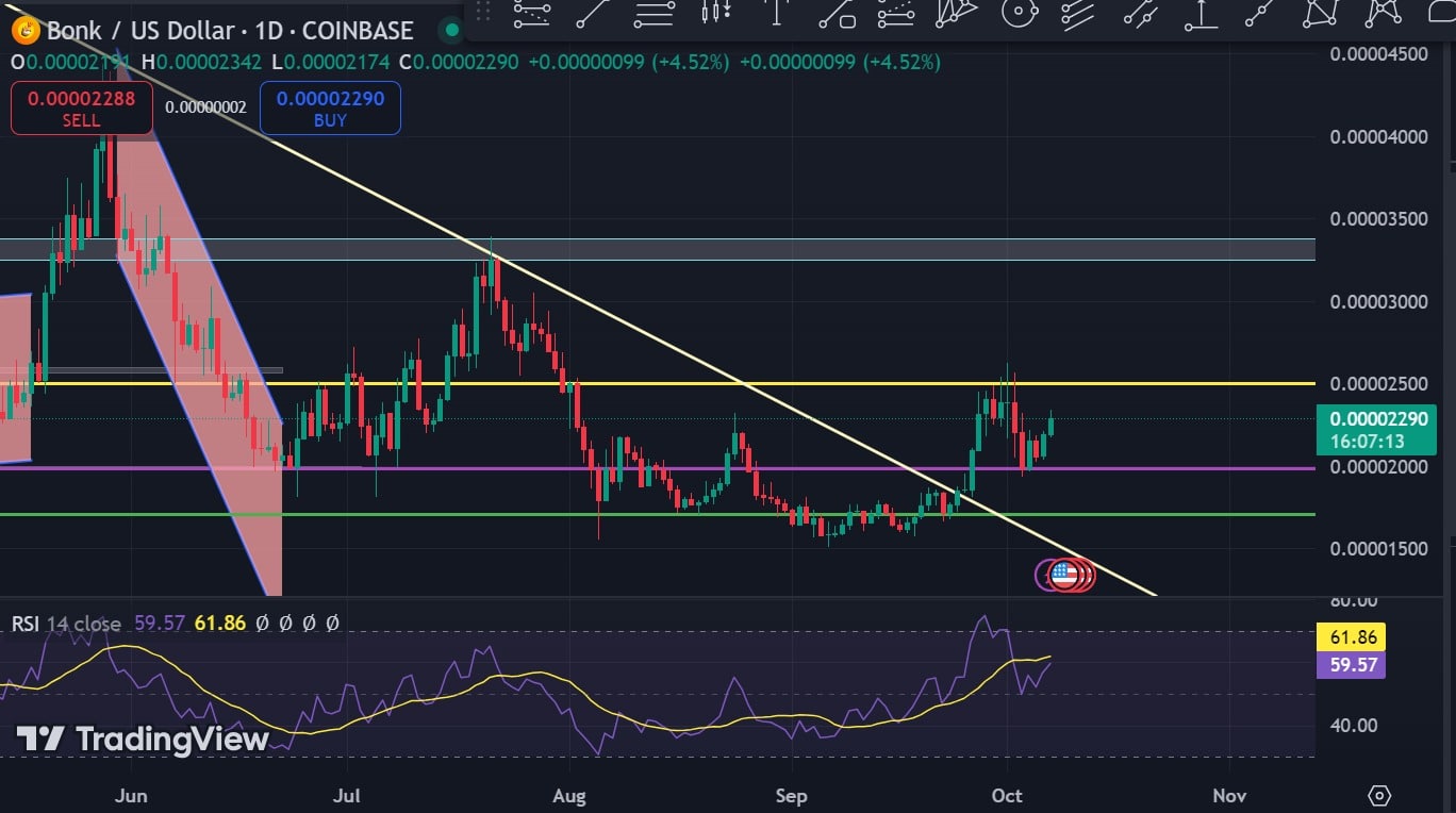 Монета BONK выросла на 13% за 24 часа: сохранятся ли позитивные настроения?