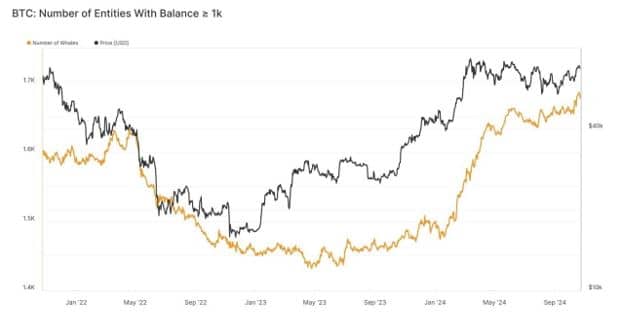 entities with 1000 btc