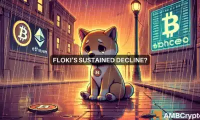 Will FLOKI decline further? Why the memecoin can drop to...