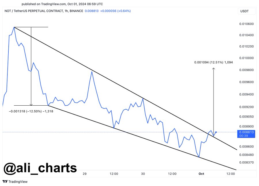 Notcoin analisti %12,5'lik bir yükseliş öngörüyor: Kaçırmamanız gereken önemli bilgiler!