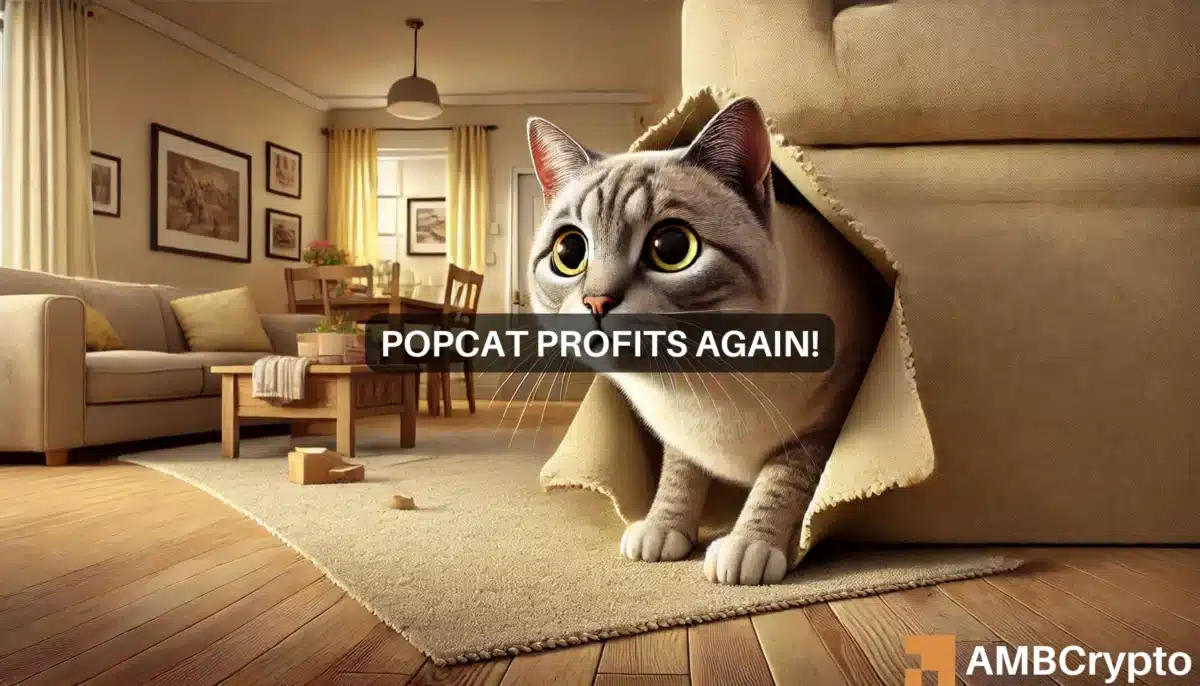 POPCAT Open Interest jumps by 29% - Bullish sentiment on the rise?