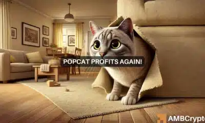 POPCAT Open Interest jumps by 29% - Bullish sentiment on the rise?