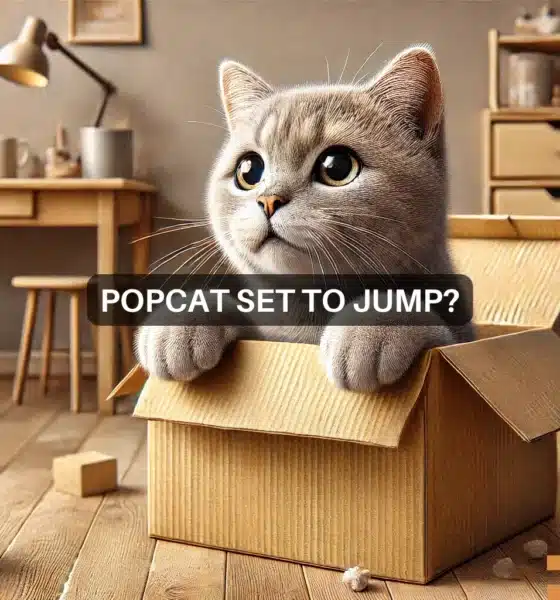 POPCAT sparks THIS bullish sign - 22% rally next?