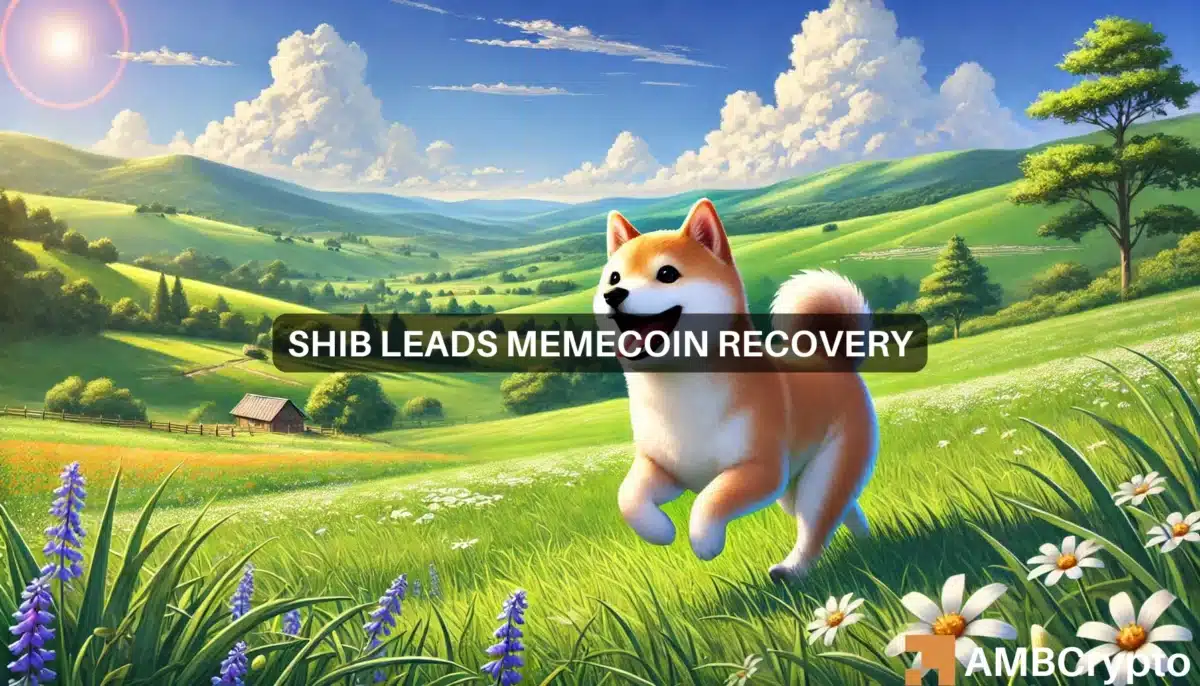 Will Shiba Inu lead memecoin recovery? Key data says...