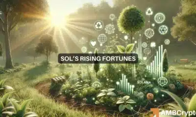 Solana network usage hits record highs - Will SOL reach $200? 