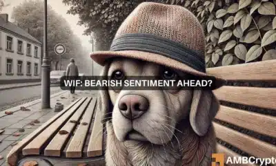 dogwifhat market sentiment turns bearish: What's ahead for WIF?