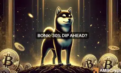 Bonk price prediction- Strongest rally this year could face deeper correction