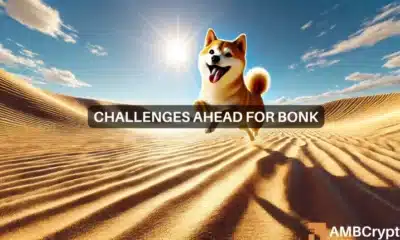 Bonk coin up by nearly 30% since Monday, bulls expect another 10% move