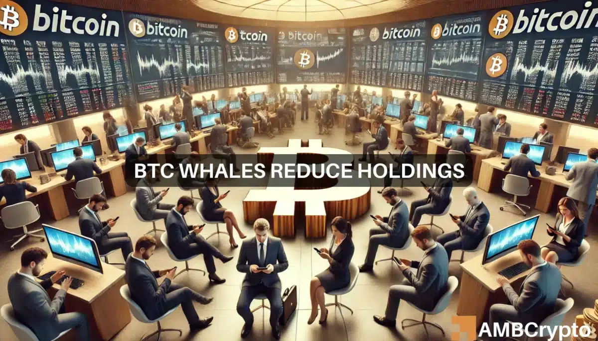 Why Bitcoin whales have reduced their holdings since January 2024