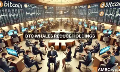 Why Bitcoin whales have reduced their holdings since January 2024