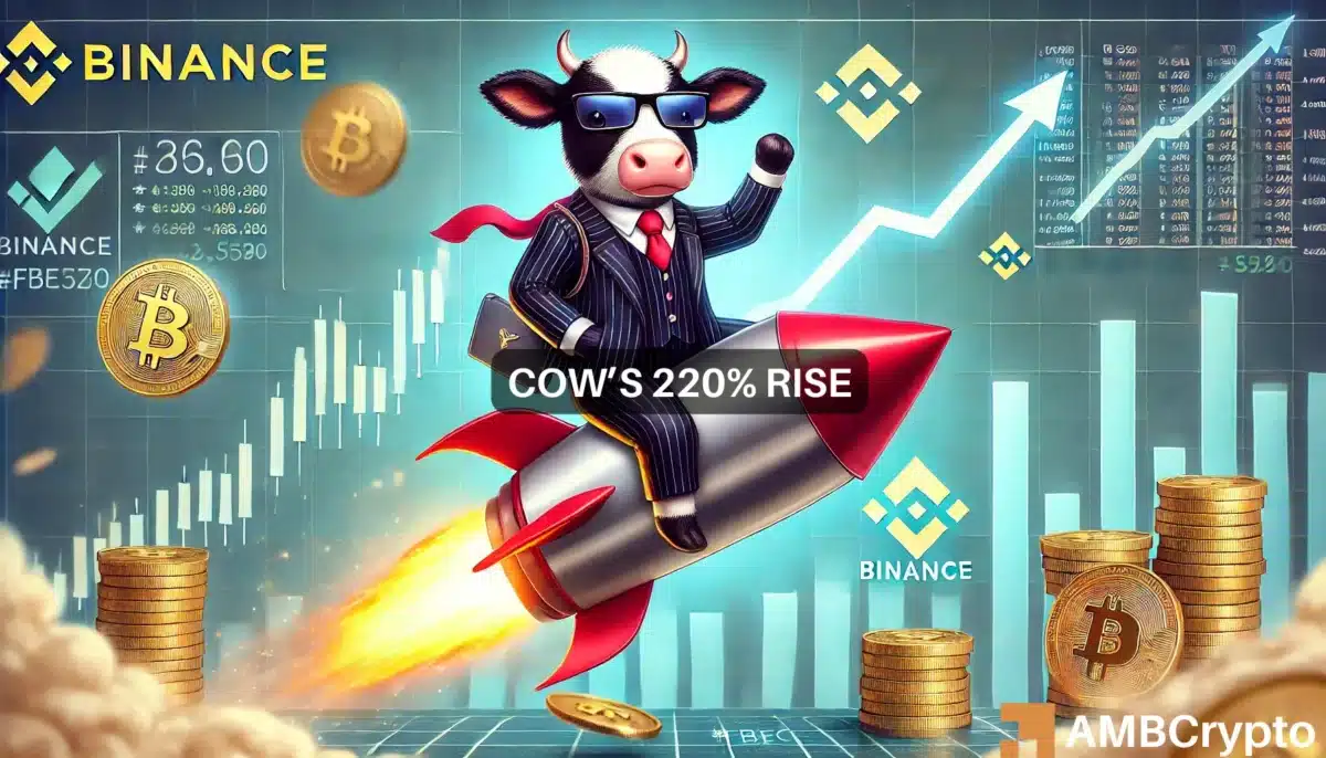 COW Binance Cetus